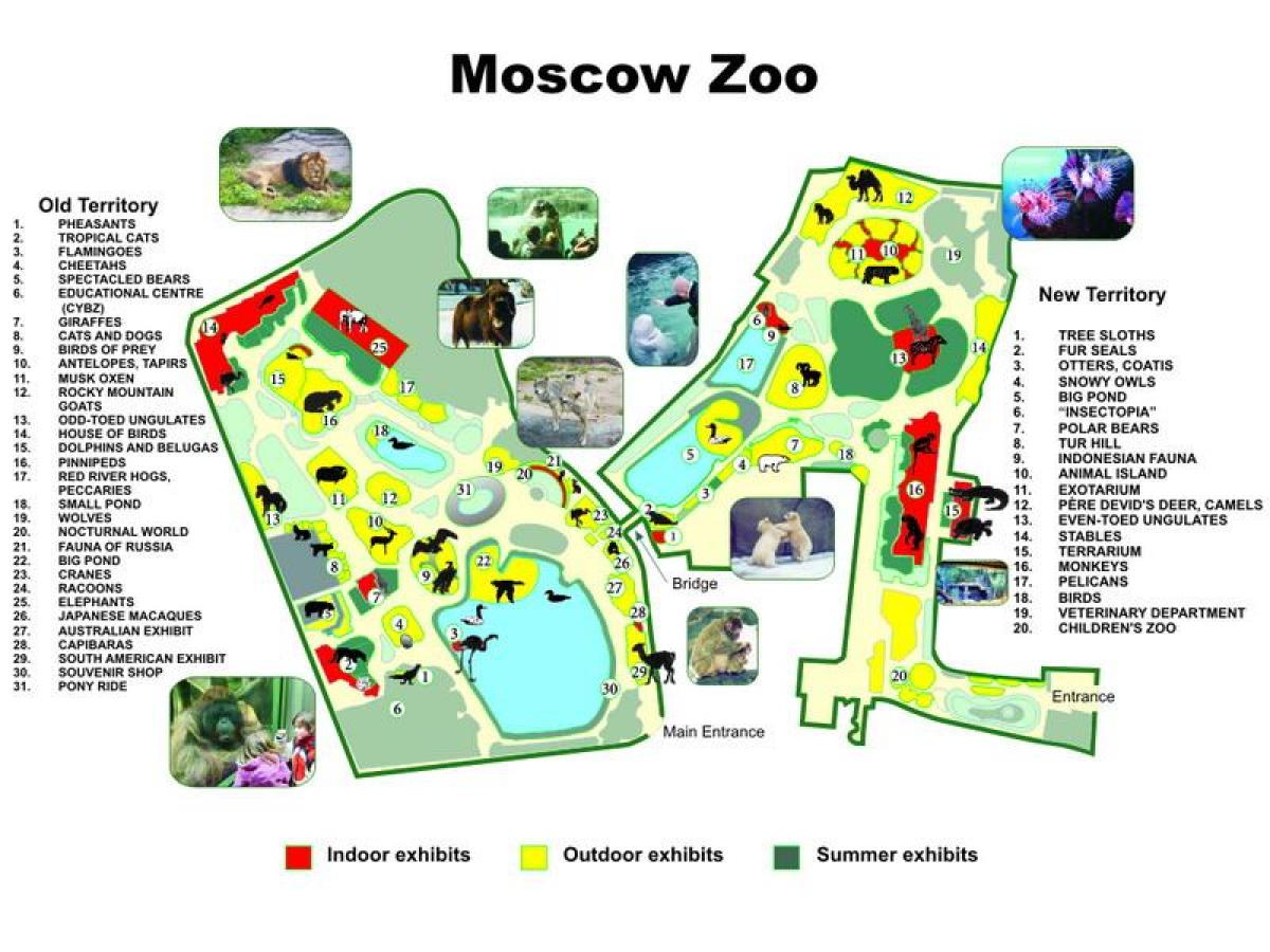 Moskova Hayvanat Bahçesi göster